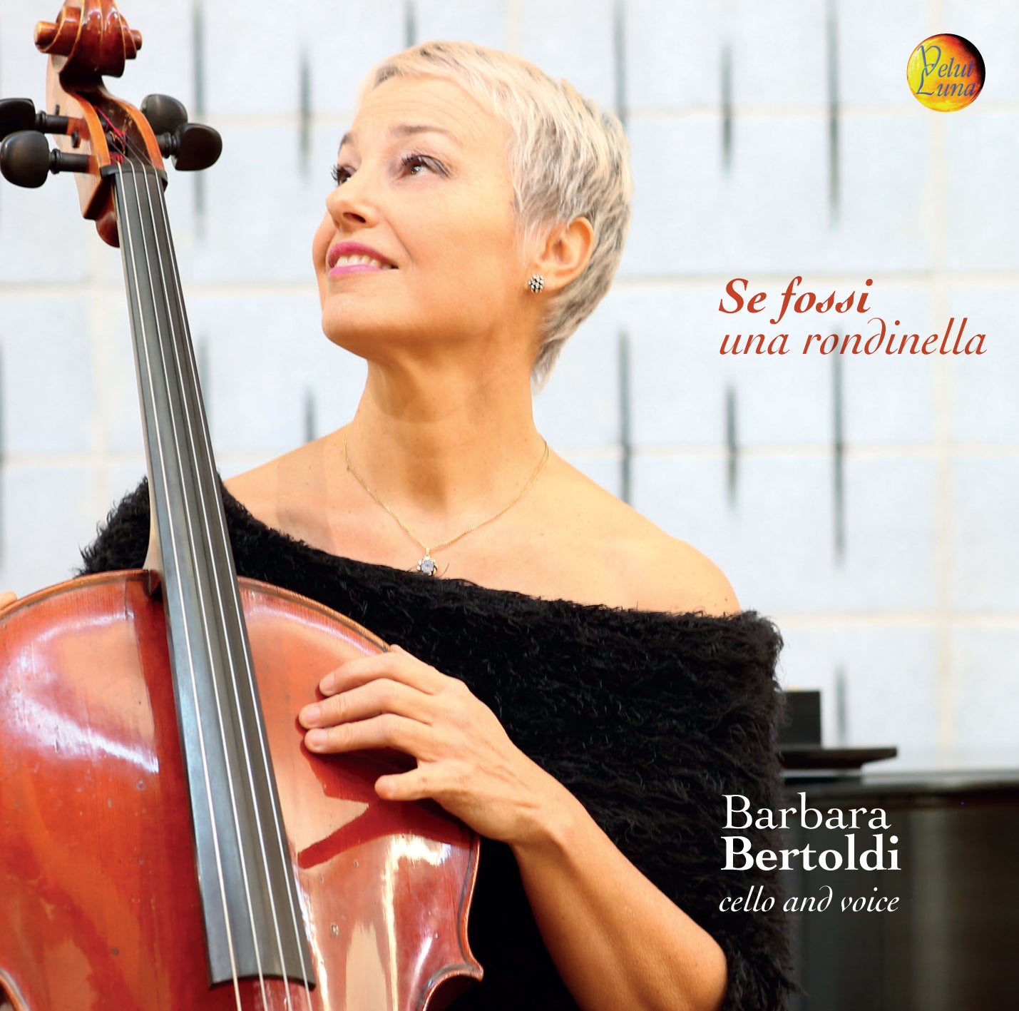 SE FOSSI UNA RONDINELLA - Barbara Bertoldi