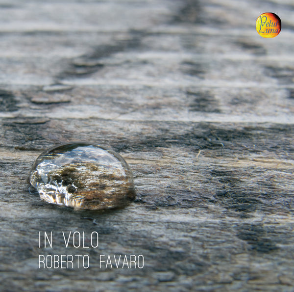 IN VOLO - FAVARO